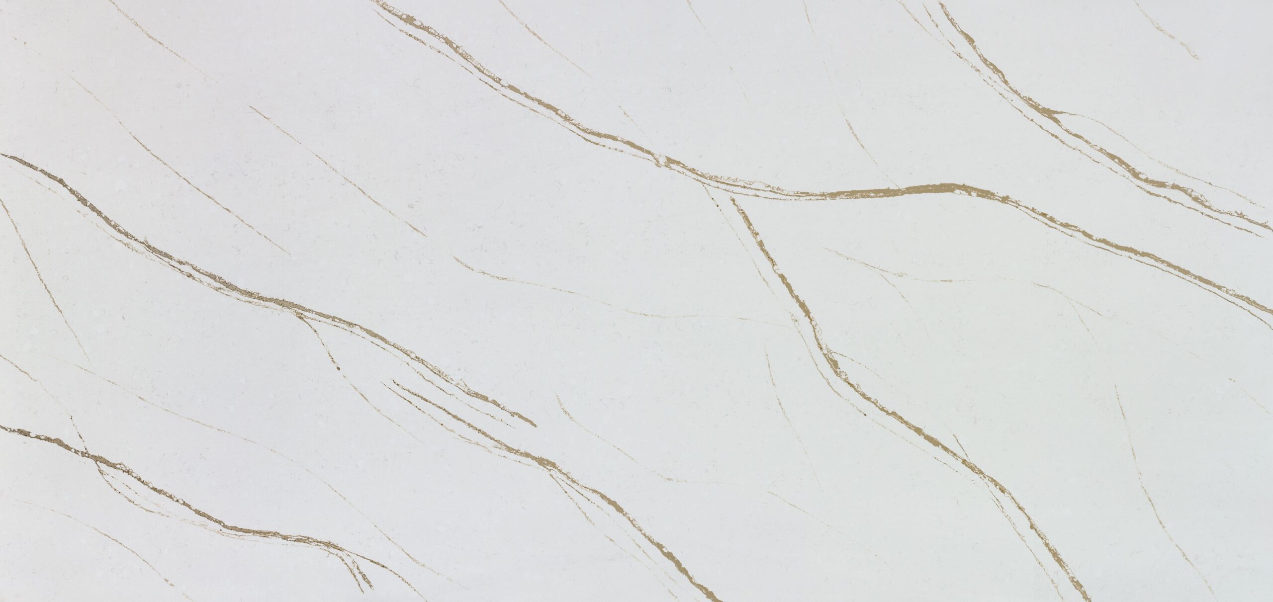 product details image