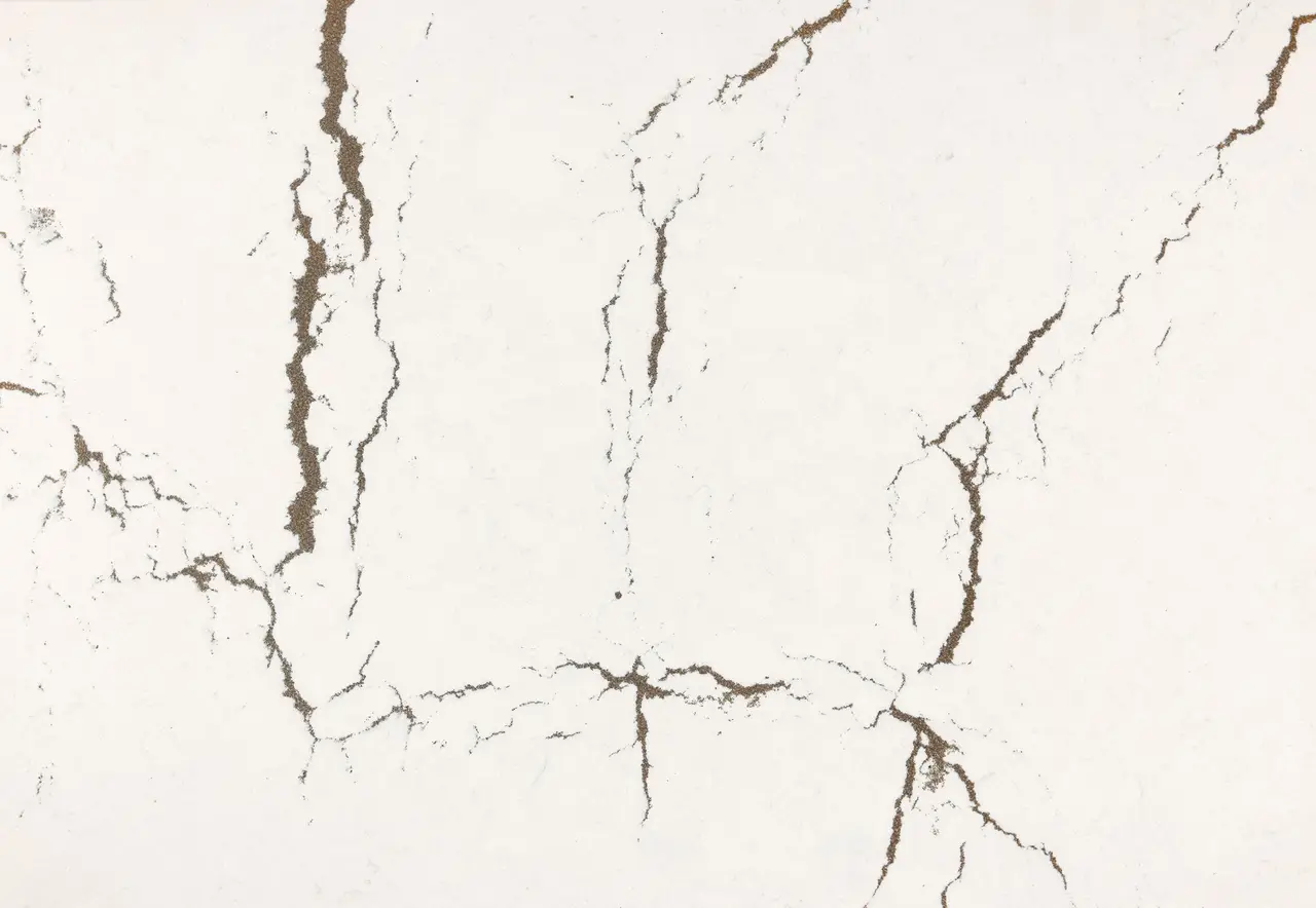 product details image